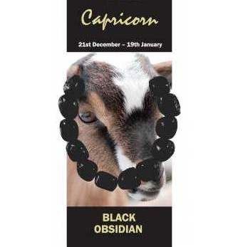 Capricorn Natural Jewellery Bracelet